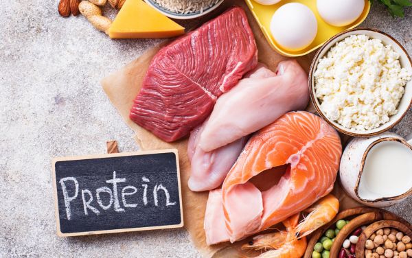 Chế độ ăn bổ sung protein