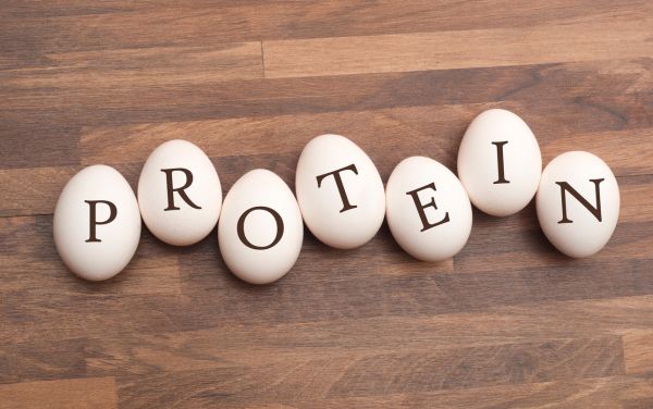 Protein được sử dụng để tạo ra cơ bắp, gân, cơ quan và da, cũng như các enzyme, hormone