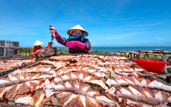 Cách bảo quản thức ăn bằng phơi, sấy khô