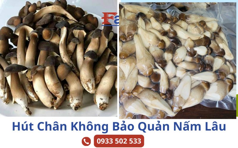 Hút chân không nấm - Cách bảo quản nấm lâu tới gần 2 tháng