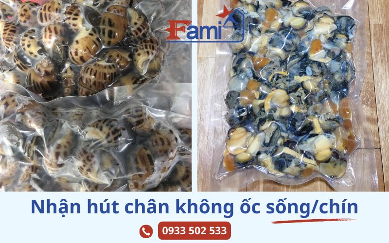 Ốc hút chân không để được bao lâu? Dịch vụ hút chân không Fami