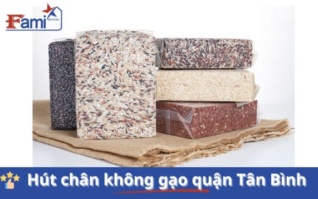 Dịch vụ hút chân không gạo tại quận Tân Bình - Uy tín số 1