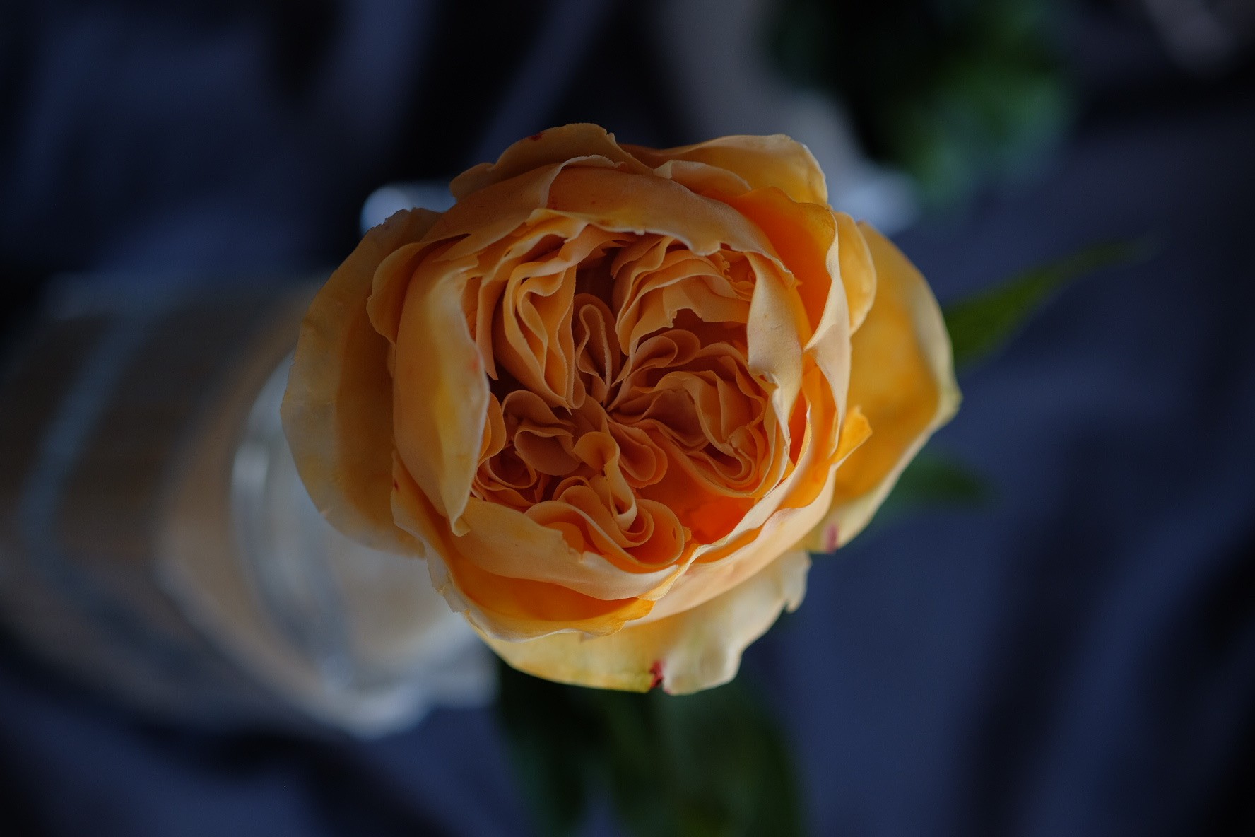 Khám Phá Nghệ Thuật Làm Bánh Với Những Bông Hoa Ăn Được