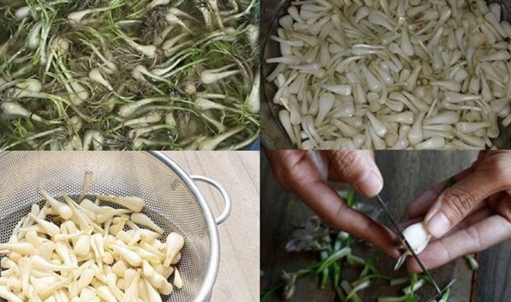 Hướng dẫn tự làm củ kiệu chua ngọt cho Tết Nguyên Đán