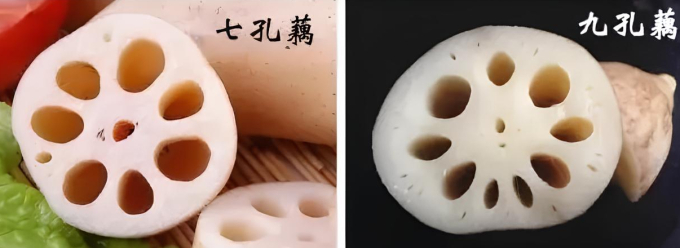 Sự khác biệt giữa củ sen 7 lỗ và 9 lỗ