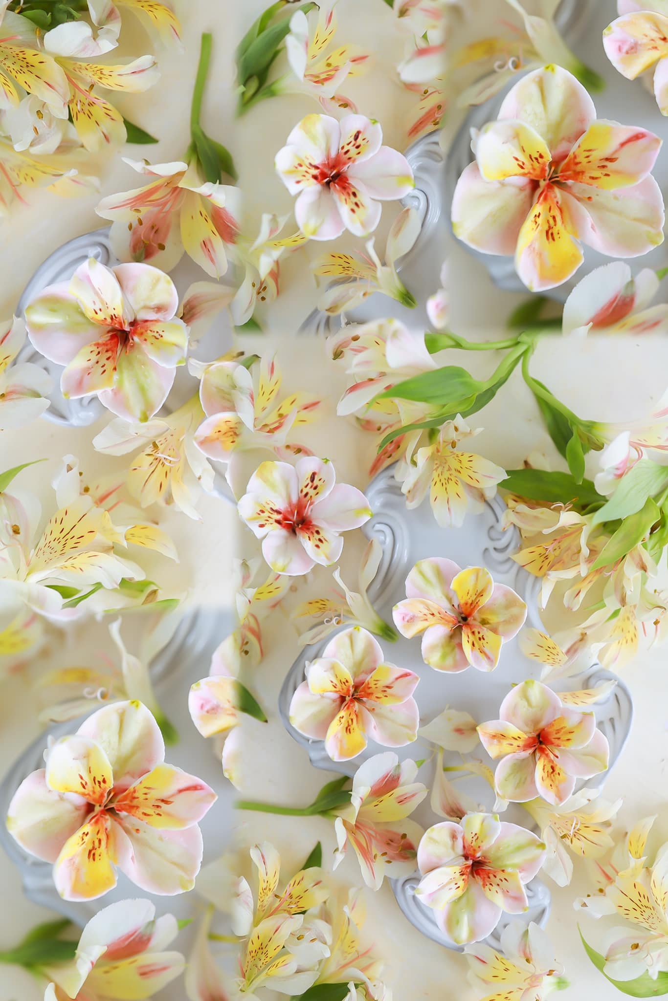 Khám Phá Nghệ Thuật Làm Bánh Với Những Bông Hoa Ăn Được