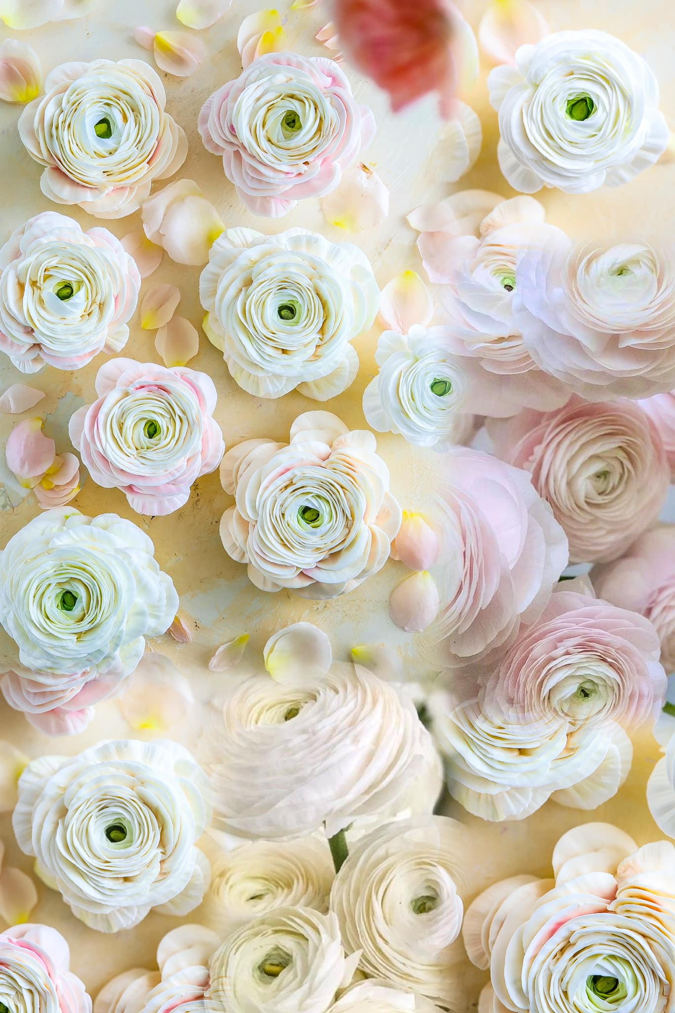 Khám Phá Nghệ Thuật Làm Bánh Với Những Bông Hoa Ăn Được