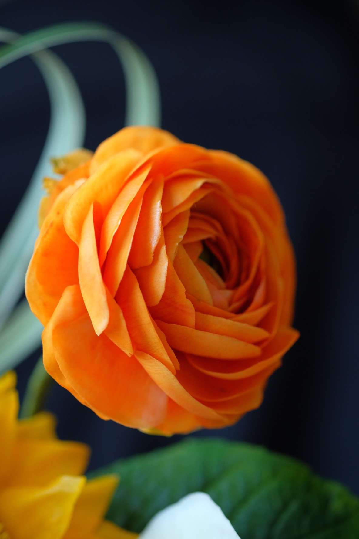 Khám Phá Nghệ Thuật Làm Bánh Với Những Bông Hoa Ăn Được