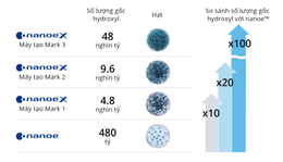 Các Giải Pháp Hiệu Quả Giảm Thiểu Nồm Ẩm Trong Không Gian Sống