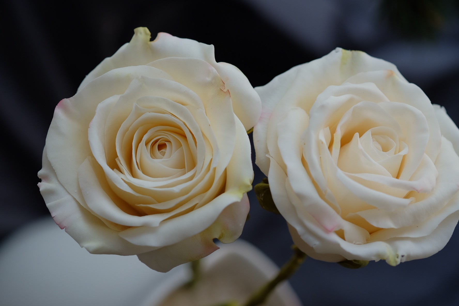 Khám Phá Nghệ Thuật Làm Bánh Với Những Bông Hoa Ăn Được