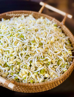 Mẹo làm giá đỗ từ hộp sữa và những mâm cơm đẹp mắt