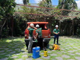 Giải pháp hiệu quả để xử lý tổ mối trong ngôi nhà của bạn