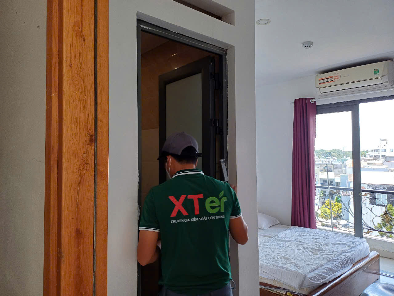 Giải pháp hiệu quả để xử lý tổ mối trong ngôi nhà của bạn