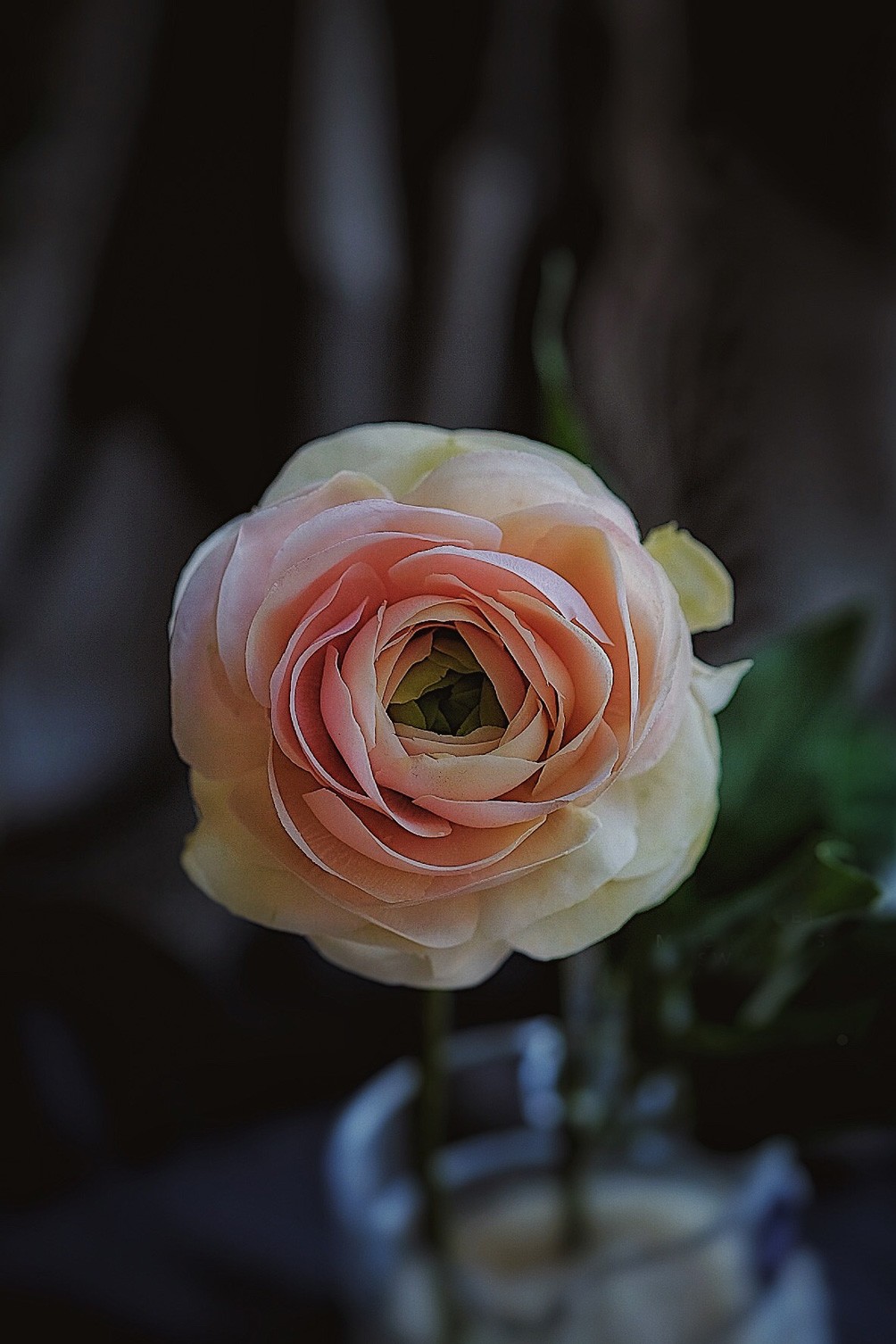 Khám Phá Nghệ Thuật Làm Bánh Với Những Bông Hoa Ăn Được