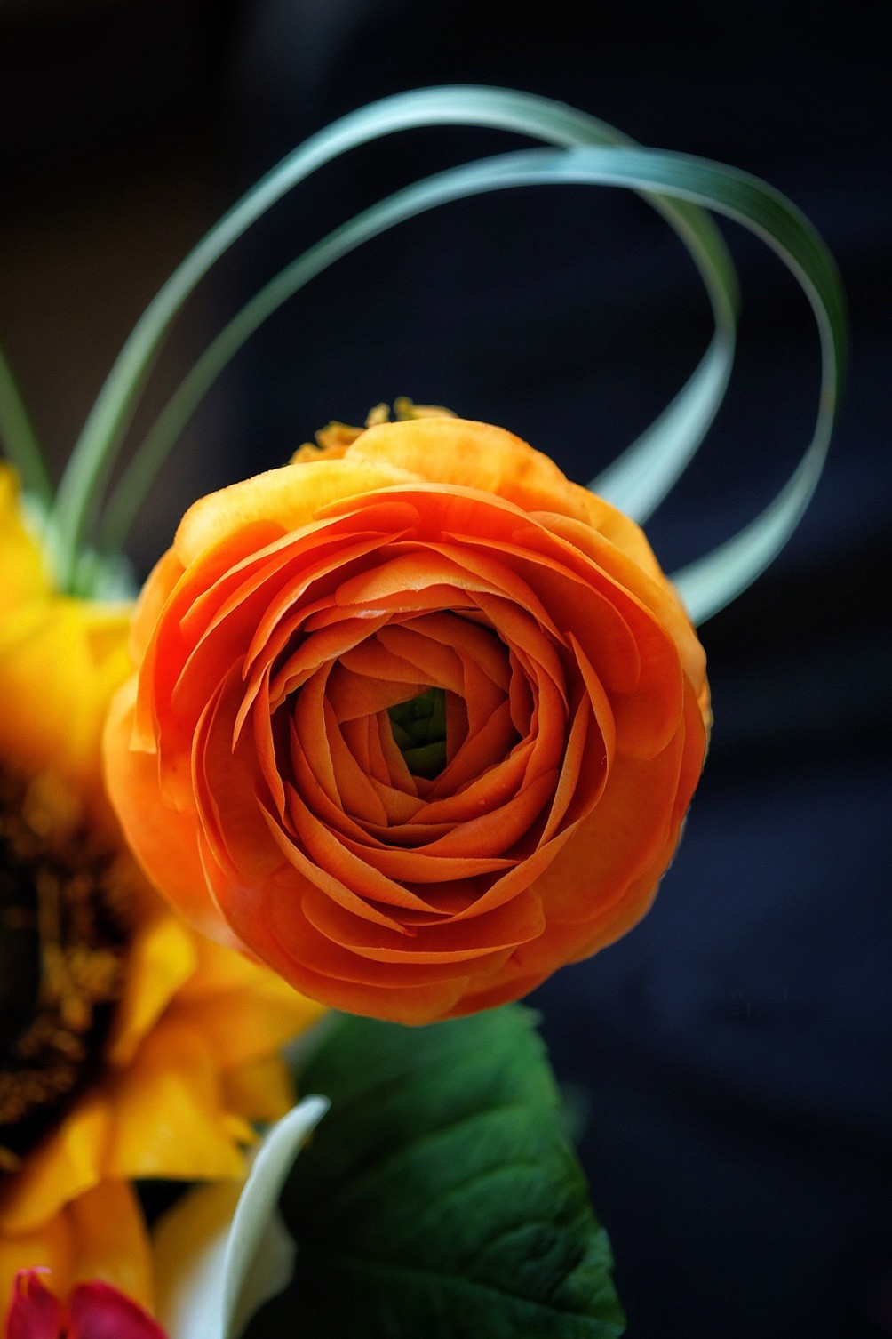 Khám Phá Nghệ Thuật Làm Bánh Với Những Bông Hoa Ăn Được