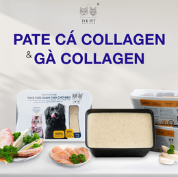 Chế độ ăn bổ dưỡng cho chó mèo với pate tươi chứa collagen