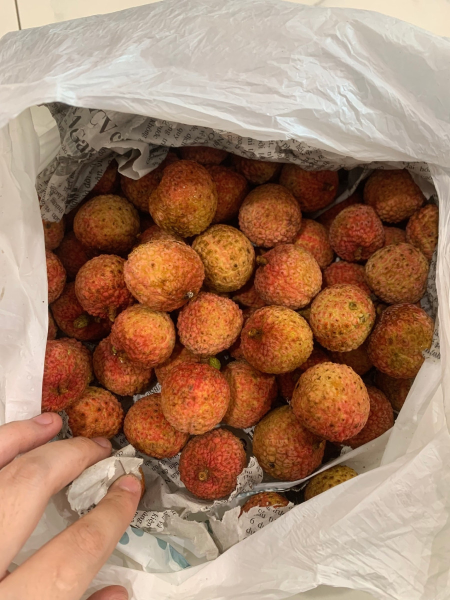 Mẹo Bảo Quản Vải Tươi Ngon Suốt Mùa