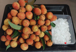 Mẹo Bảo Quản Vải Tươi Ngon Suốt Mùa