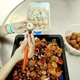 Mẹo Bảo Quản Vải Tươi Ngon Suốt Mùa